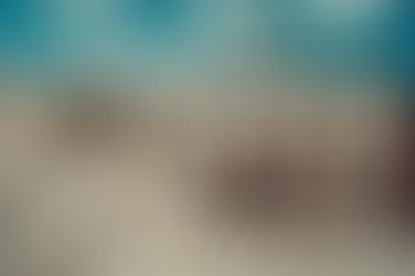 CONSIGLIERI COMUNALI “ BRAVA GENTE”