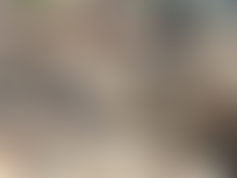 LA CATTEDRALE DI NICOSIA SOMIGLIA TANTO ALLA CAMICIA DI TOTO'