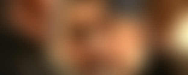 DAL LIBRO ALLA CANDIDATURA IL PASSO E’ BREVE . IL GENERALE VANNACCI E LE SUE PEGGIORI 40 FRASI