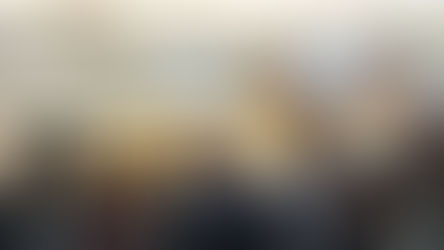 LEGHISTI NICOSIANI IN VISITA AL PARLAMENTO EUROPEO. IL VIAGGIO DELLA SPERANZA?