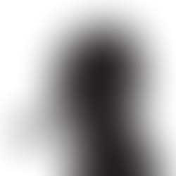 IL CASO DELLE DELEGHE INTERMITTENTI