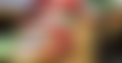 QUANTO COSTA LA POLITICA CITTADINA?   TANTO,TANTISSIMO!!!!!