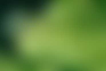 À SQUAGGHIATA DE L’ACQUÀZZINA L'amministrazione comunale di occupa di sviluppo della nostra città