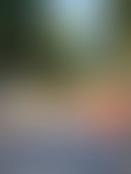 IL RICORDO DEI NOSTRI DEFUNTI, TRA TRANSENNE E INTERMINABILI LAVORI IN CORSO.