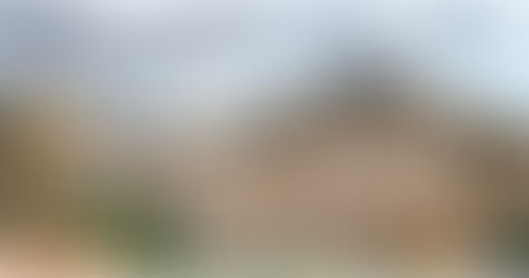 DI SAGRE NON SI VIVE!!!!