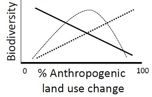 iapetus graph.JPG
