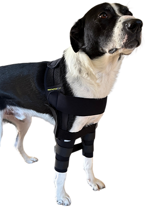 Shoulder Hobbles.png