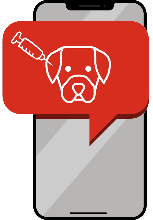 20191105_Notification.gif