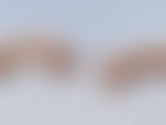 Isaiah Week Three: The Lie of Self-Sufficiency