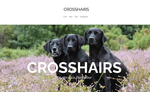 Website_Crosshairs_Titelseite