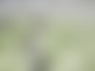 My Final Year Project #12