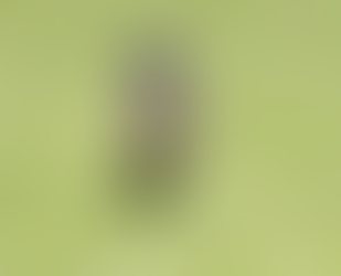 My Final Year Project #16