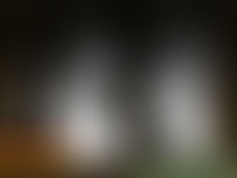 My Final Year Project #2