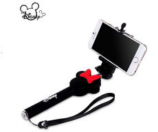 Selfie Sticks: Disney to Ban...?