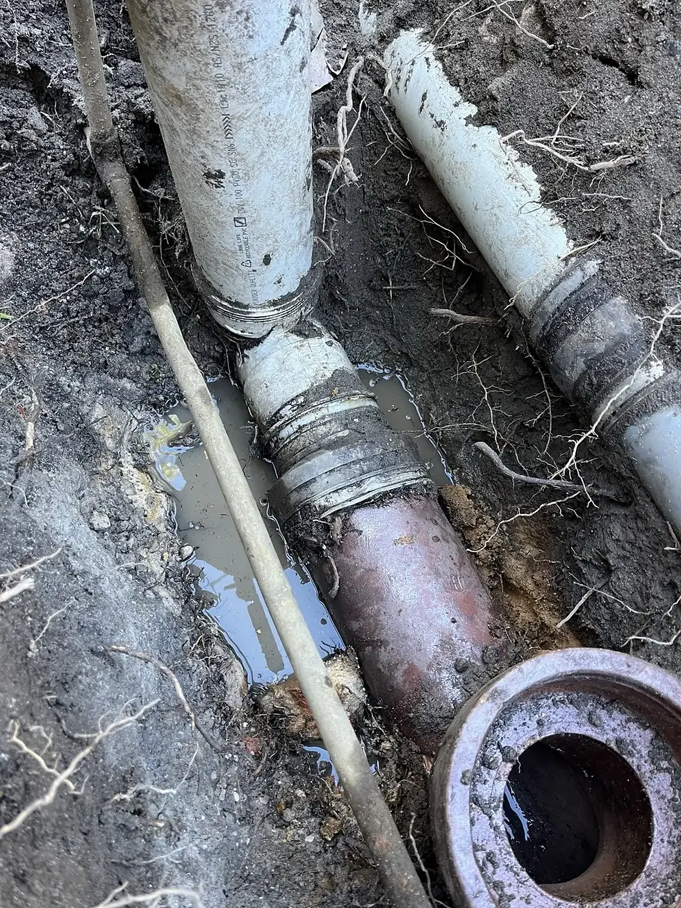 Cracked earthenware sewer pipe section excavated in a Dee Why front yard