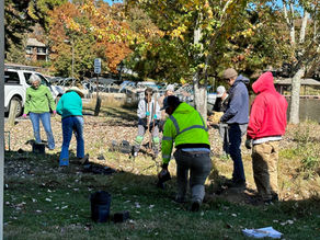 Riparian Garden Established at Tugaloo Swim Beach