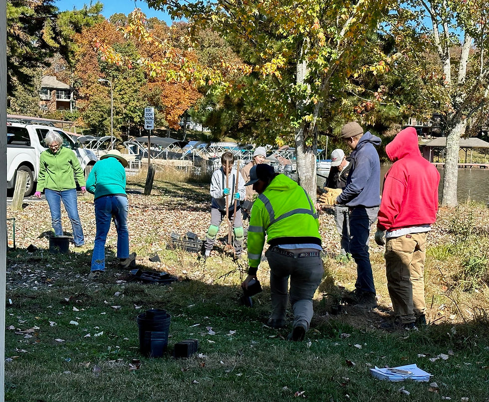 Riparian Garden Established at Tugaloo Swim Beach