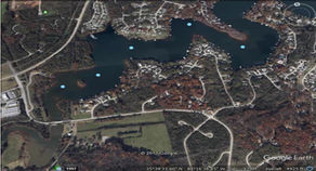 Bacteria Concentrations in Embayments of Tellico Lake