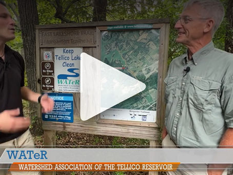 WATE 6 - Living East Tennessee
