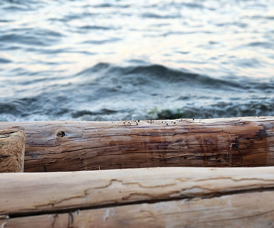 Driftwood