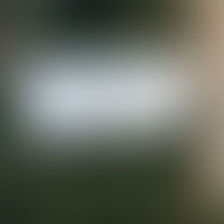 A Stress-Free Holiday Season: Why Booking Lashes & Brows Early Matters