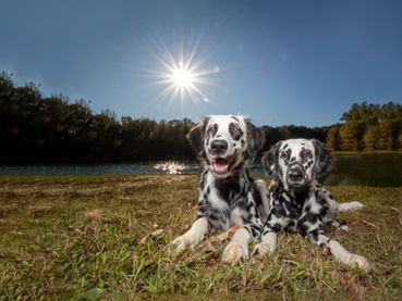 Behind the scenes - not what you expect.