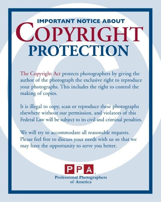 Copyright and Usage Rights