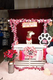 Looking at the handler because she was giving a treat