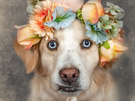 YES I photoshop...sometimes a bunch