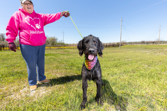 Rescue dog photo session with handler having fun