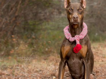 Worst Session Ever !!