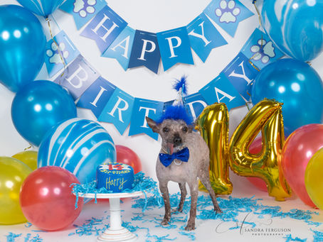 Birthday & Cake Smash