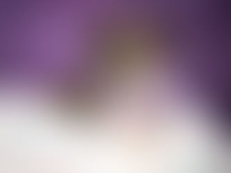 Luxury Pet Photography Experience in Memphis with Sandra Ferguson Photographer, Professional Pet Photographer Memphis