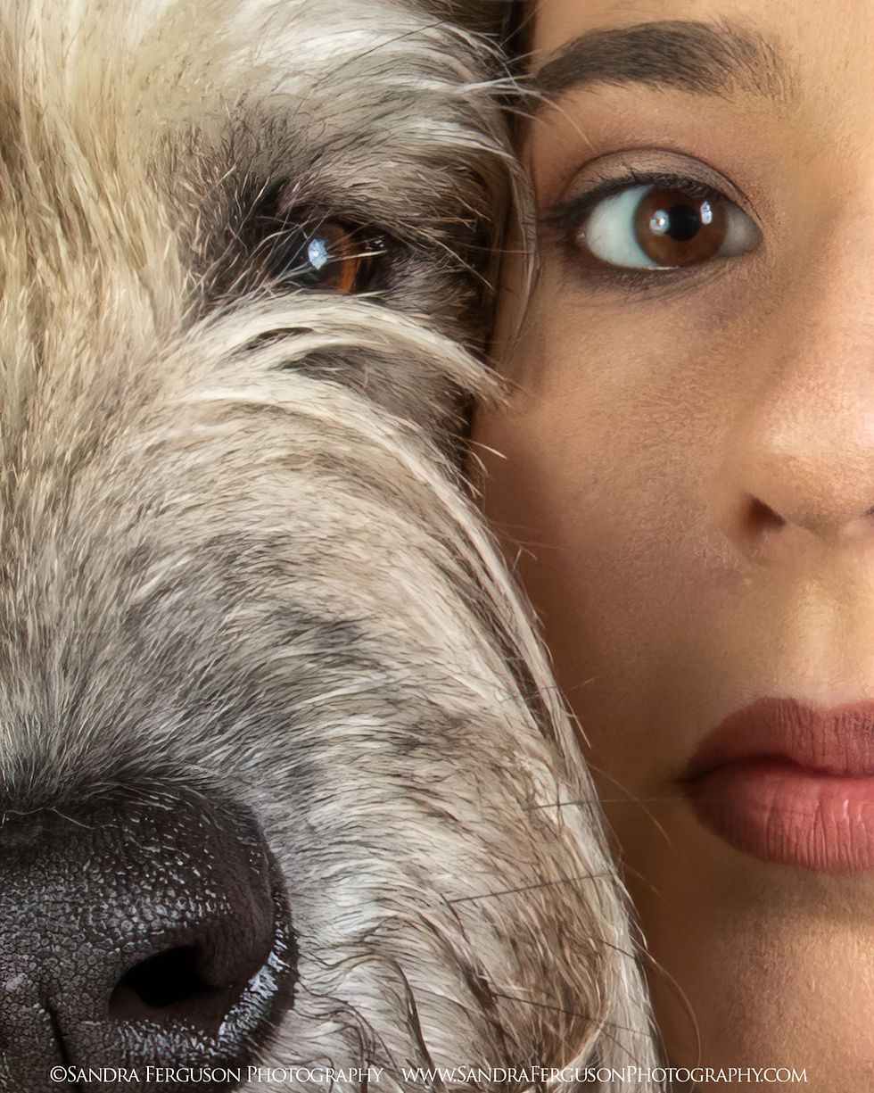 Close up with pets, by Sandra Ferugson Photography