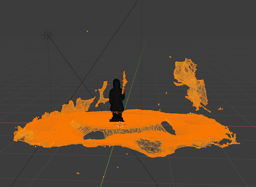 A view of the wireframe inside Blender.