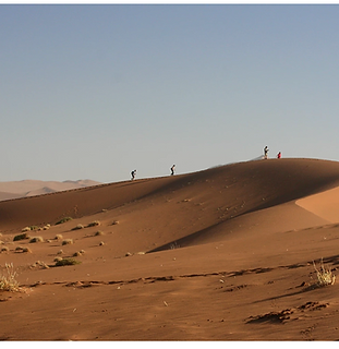 Screenshot 2020-03-30 at 23.36.58.png