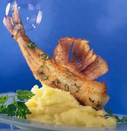 fishy torsk copy.png