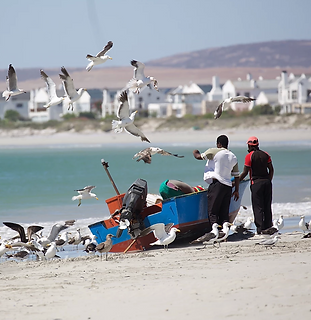 Screenshot 2020-03-31 at 12.28.08.png