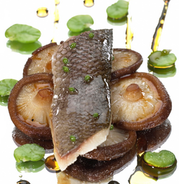 fishy torsk copy.png