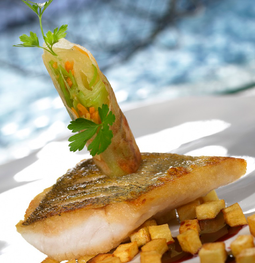 fishy torsk copy.png