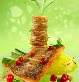 fishy torsk copy.png