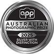 APP 2025 Silver with Distinction.png