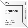 reFocus Color Awards 2023 Nominee.png