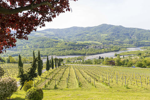 Agriturismo La Dolce Vite