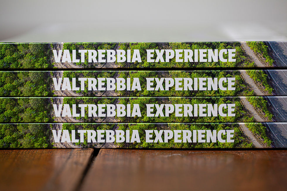 Miniatura: Valtrebbia Experience, il libro.