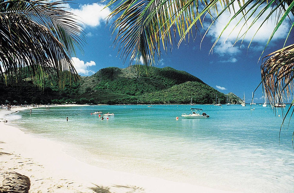 Da Miami alla Giamaica: Un Tour a Ritmo Reggae nella Terra dei Fiumi e dei Rasta