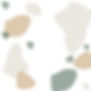 Website background full.jpg