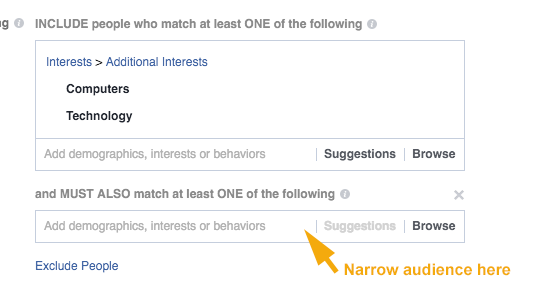 Facebook Ad Audience