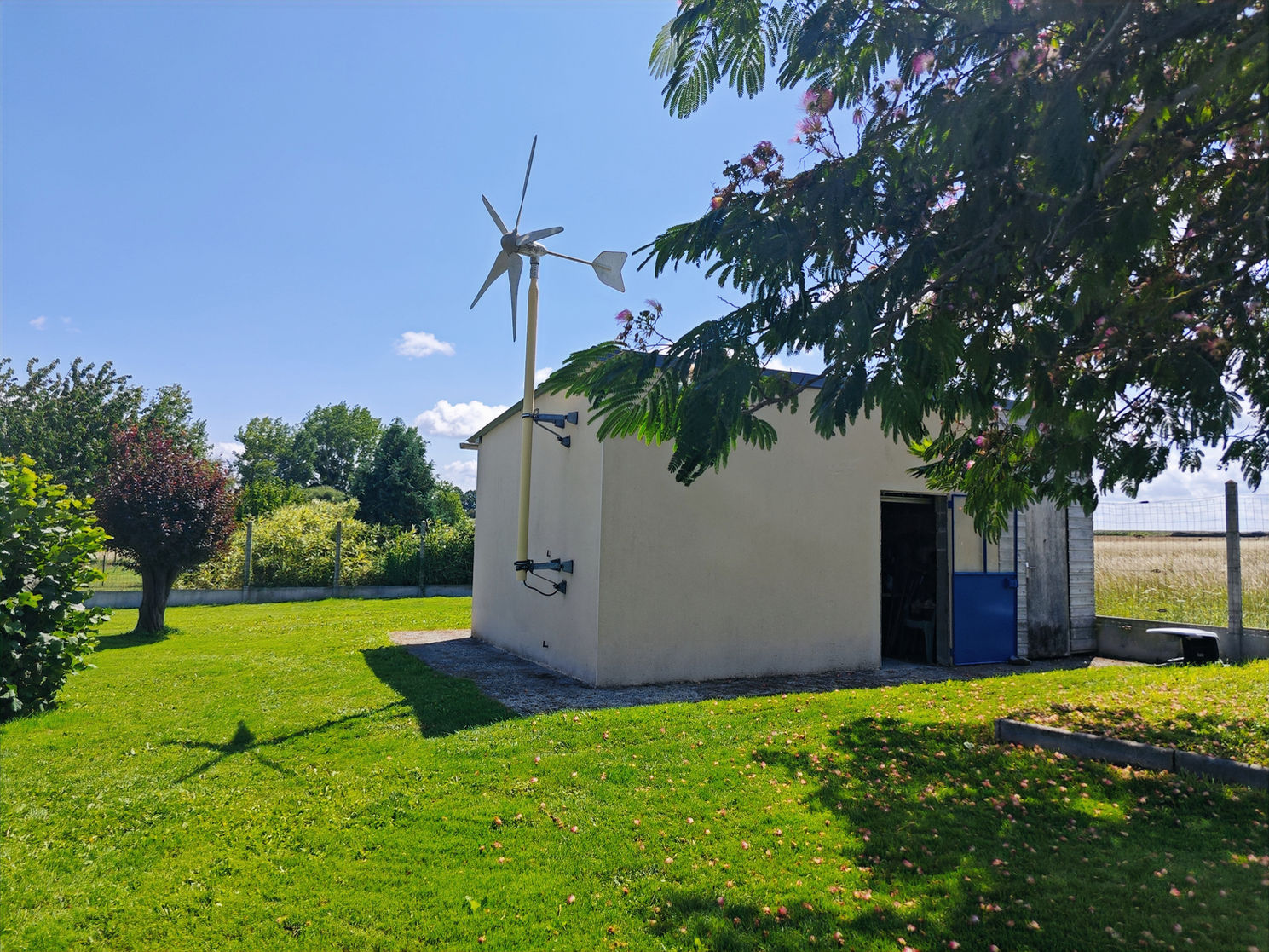 Photo taken in the upper part of the garden, under the silk tree. The small wind turbine and the entrance to the storage building are visible, seen from the shade of the tree