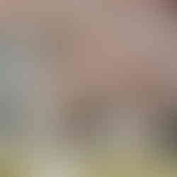 Sister Hill Inn Iowa Wedding and Event Venue for micro weddings, bridal showers, baby showers, birthday party, anniversary.